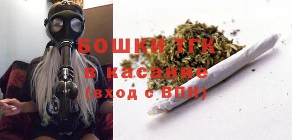 мдпв Костерёво