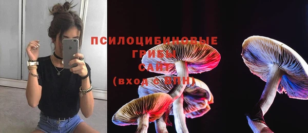 соль курить ск Корсаков