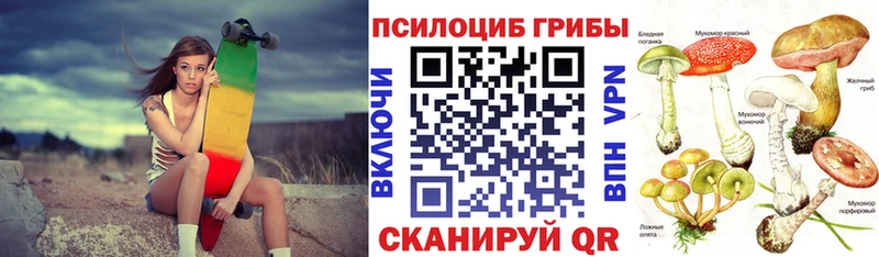 купить   Кремёнки  ОМГ ОМГ tor  Галлюциногенные грибы прущие грибы 
